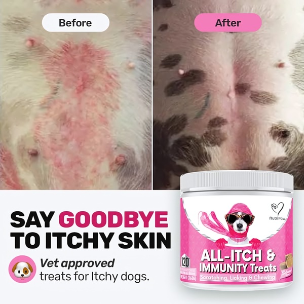 A split-screen comparison showing the skin recovery of a pet using the product, paired with a direct benefit-led headline and product call-out.